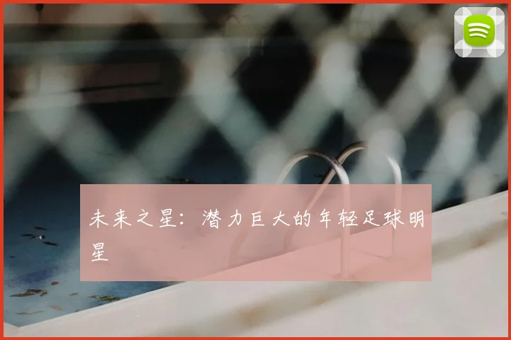 未来之星:潜力巨大的年轻足球明星