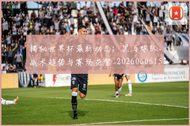 揭秘世界杯最新动态：黑马球队、战术趋势与赛场花絮_20260606153356