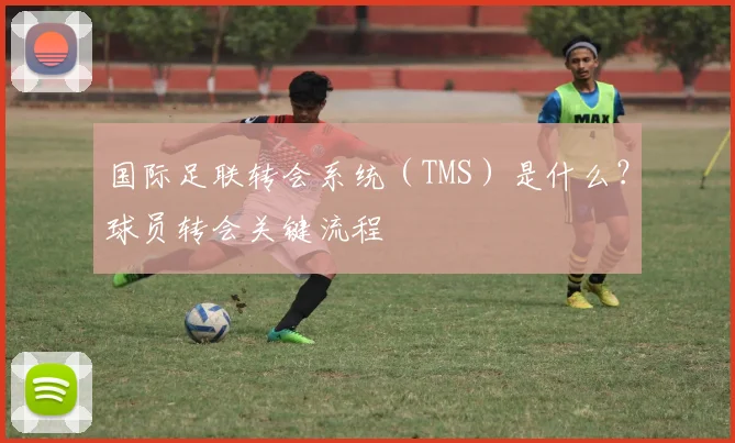 国际足联转会系统(TMS)是什么?球员转会关键流程